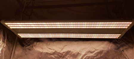 ES300 LED grow light showing off its unique spectrum