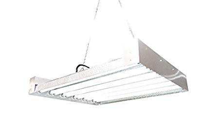 Get this T5 Grow Light on Amazon.com