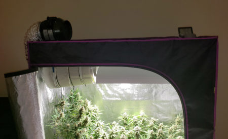 Example of one way to set up your carbon filter and fan in your grow tent
