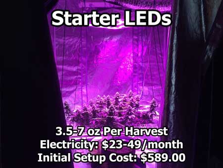 Starter LEDs - cannabis setup example that uses a small LED grow light