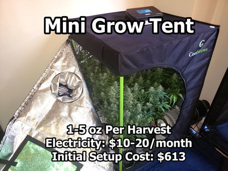 Example of a mini grow tent setup with an HLG 100 Quantum Board LED grow light for microgrows