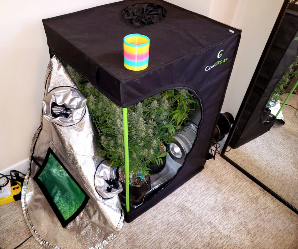 examples-of-common-cannabis-grow-setups-grow-weed-easy