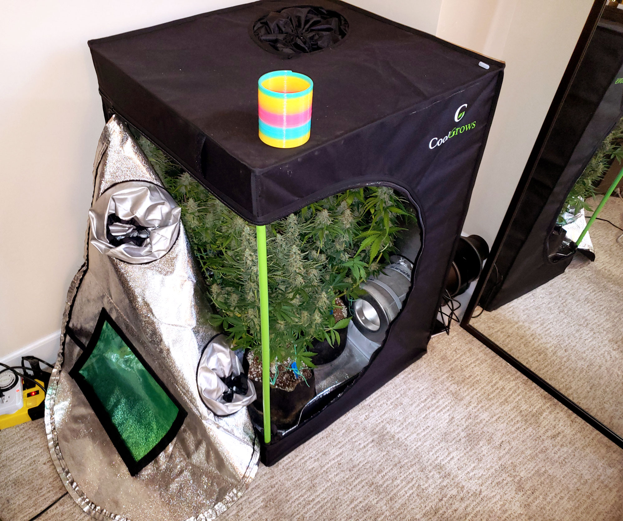 tandlæge Efterår Lyrical Examples of Common Cannabis Grow Setups | Grow Weed Easy