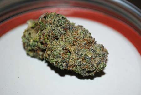 A dense nug of Alaskan Thunder after curing