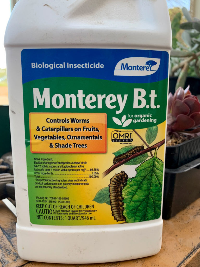 Any "BT" product like Monteray BT spray is the best way to get rid of cannabis caterpillars