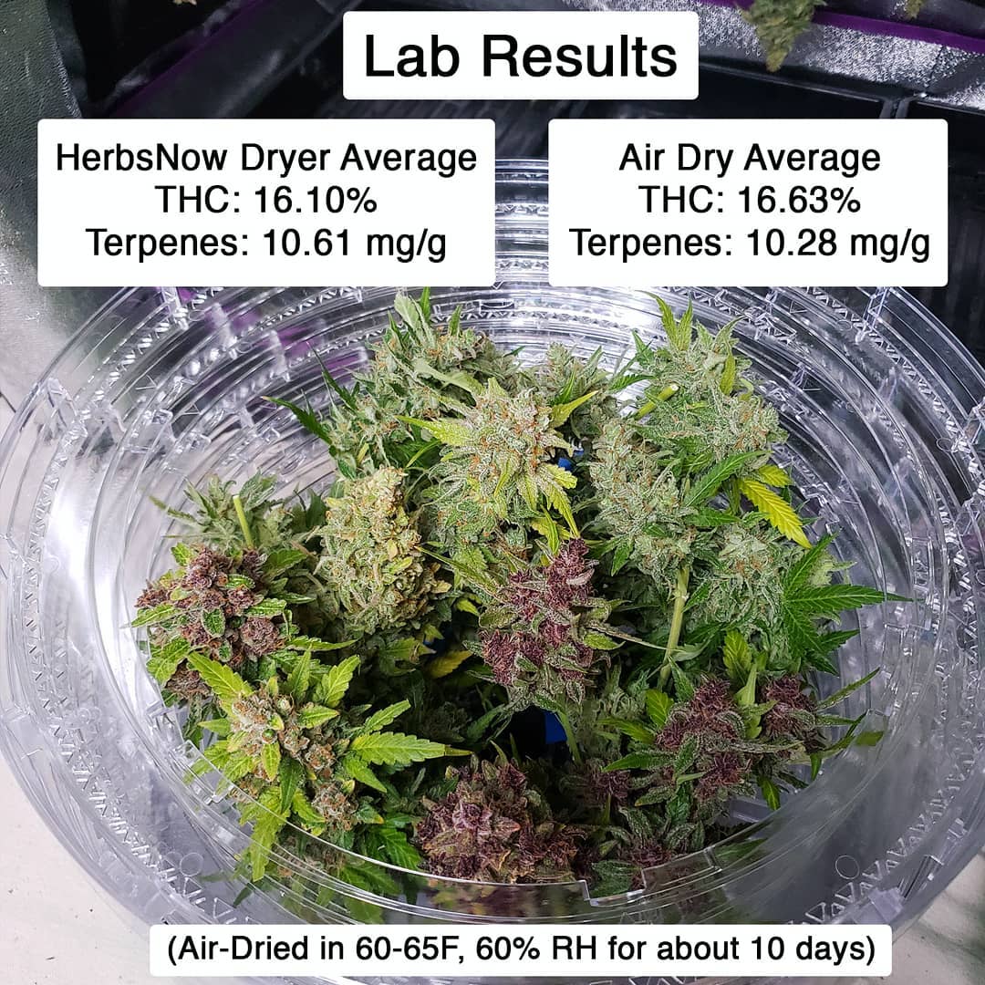 https://www.growweedeasy.com/wp-content/uploads/2019/11/herbsnow-dryer-lab-results-second-time-with-16-plants.jpg
