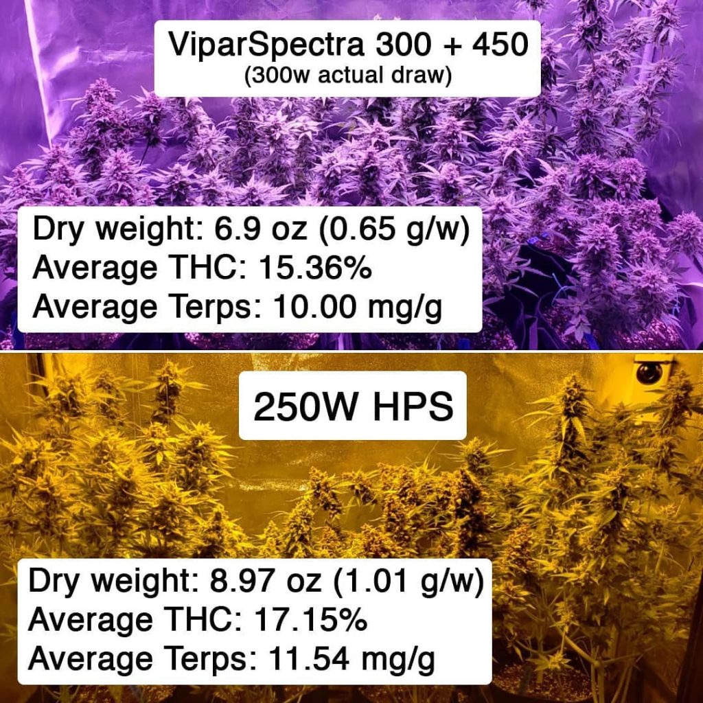 Nebula's Cannabis Grow Journals & Experiments (SidebySide Tests