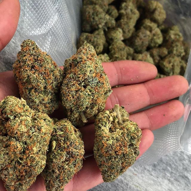 Are There Dangerous Synthetic Pgrs In Your Weed Grow Weed Easy