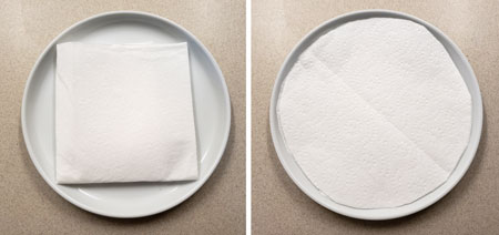 Two ways to set up the paper towels for this marijuana paper towel germination method