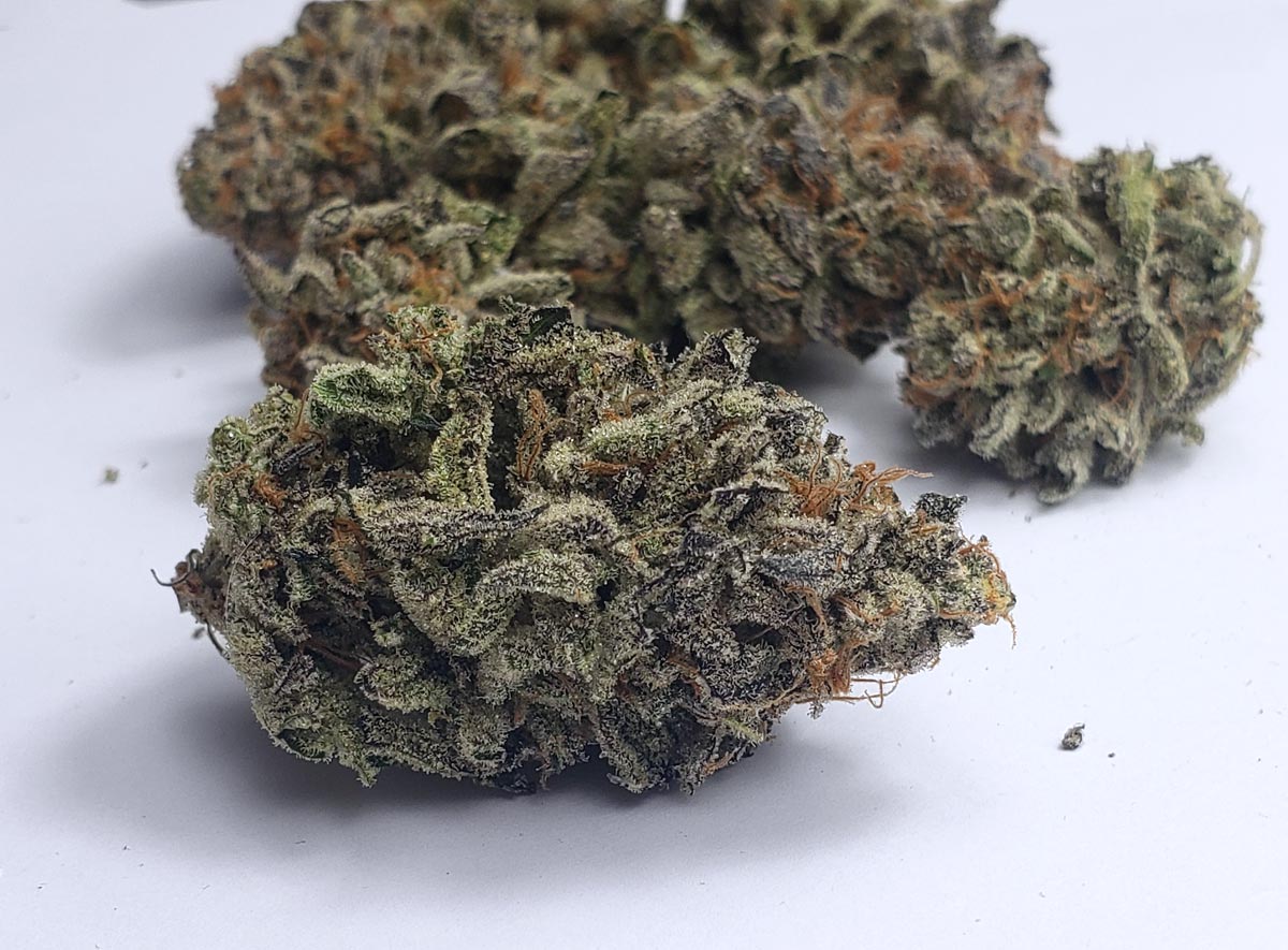 mandarin-cookies-bud-closeup-hlg-300-led-grown.jpg