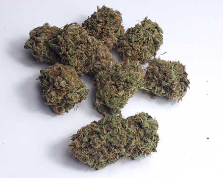 Marijuana growing tips and tricks indoor
