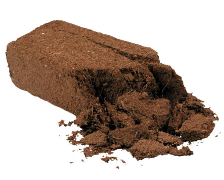 Coco coir bricks breaking apart into loose coco