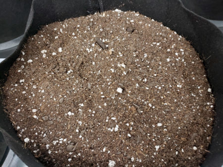Fill cannabis fabric pots with coco coir mix.
