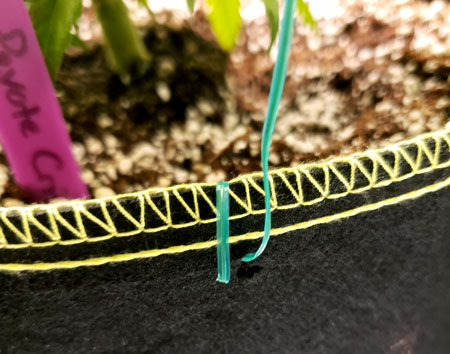 Twist tie through hole in fabric pot for LST