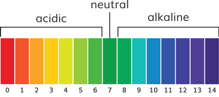 Chart of pH alkaline and acidic scale - Prevent cannabis deficiencies with the right pH at the roots