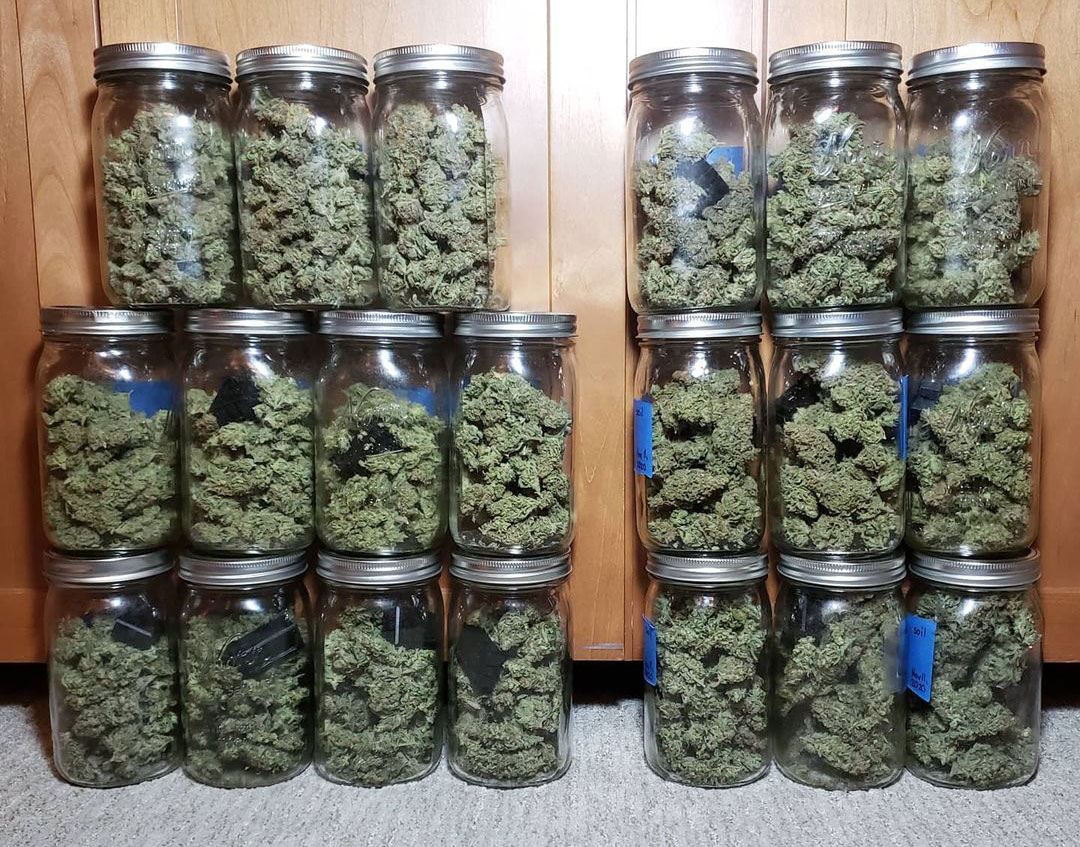 Low Grade Bags of QP Marijuana Old Photo 