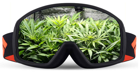 LED Plant Growth Light Eye Protection Glasses Room Correction Safety Glasses 