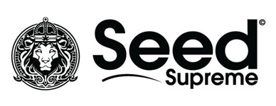 Ordering cannabis seeds online safe