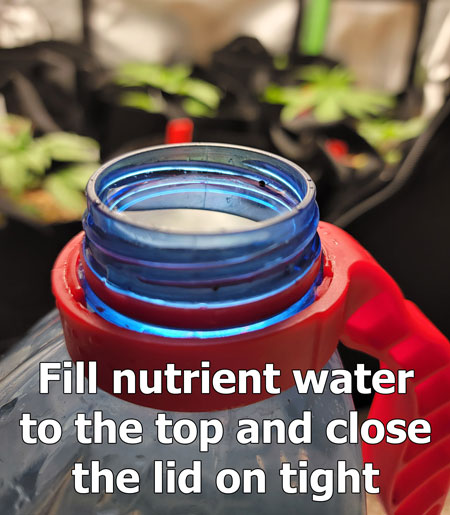 A jug of nutrient water filled to the very tip-top!
