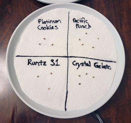 Cannabis seeds are labeled and ready for water to start germinating