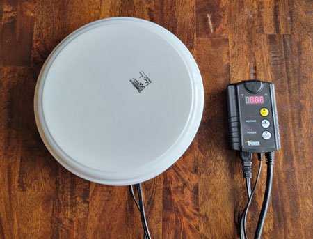 Germinating cannabis seeds with a reptile heat mat