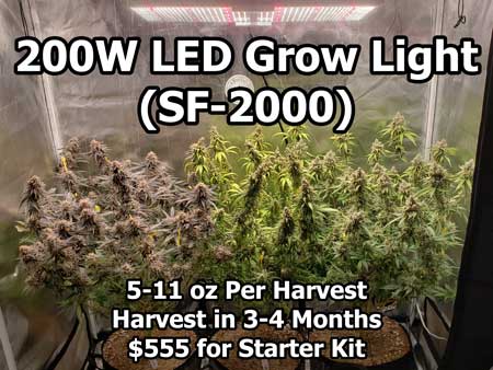 www.growweedeasy.com