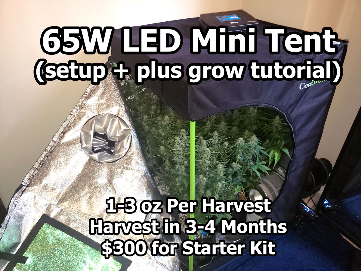 How to Grow 3 oz of Cannabis in a $300 Mini LED Grow Kit
