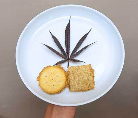 www.growweedeasy.com