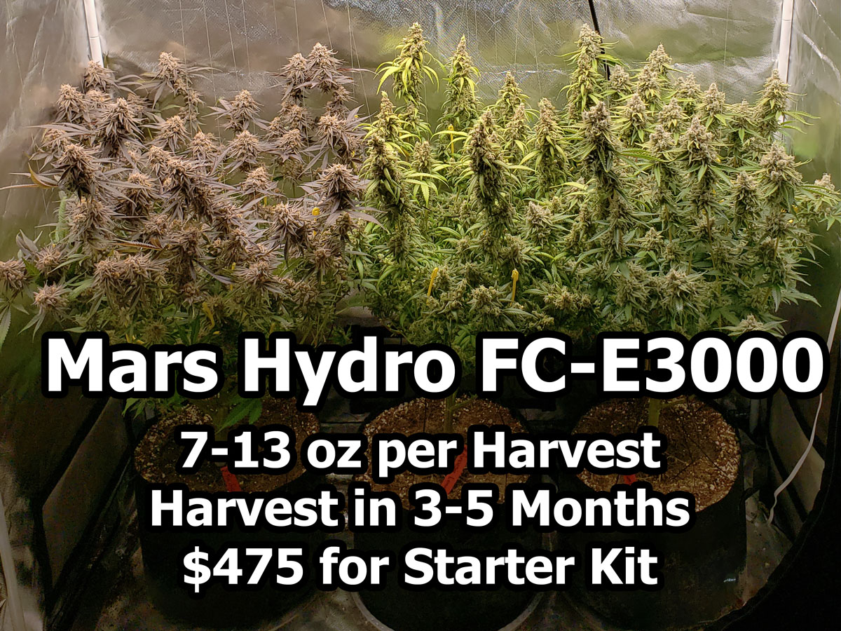 Mars Hydro FC-E3000 LED Cannabis Grow Setup & Tutorial | Grow Weed