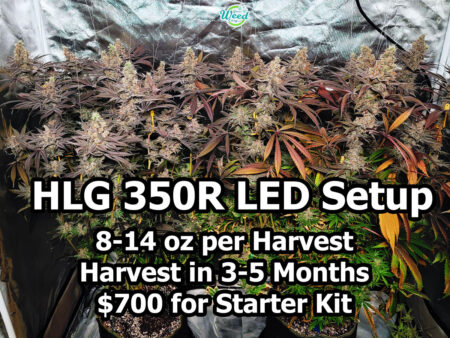 The HLG 350R LED grow light by Horticulture Lighting Group can produce up to 14 oz per harvest