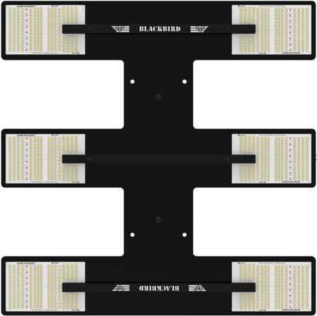 HLG Blackbird is a 600W cannabis grow light that produces up to 22 oz per grow with weed plants