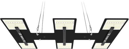 HLG Blackbird is a great LED grow light for cannabis that can produce up to 1.5 lbs of weed per grow