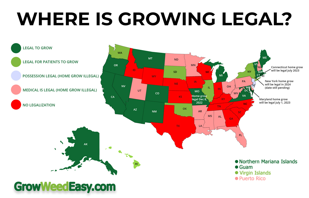 Where is it legal to grow weed in the USA? Grow Weed Easy