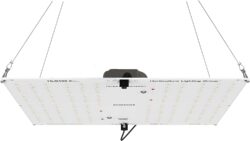 Get a HLG 100 Bloom LED grow light - perfect for flowering your cannabis plants in a mini setup