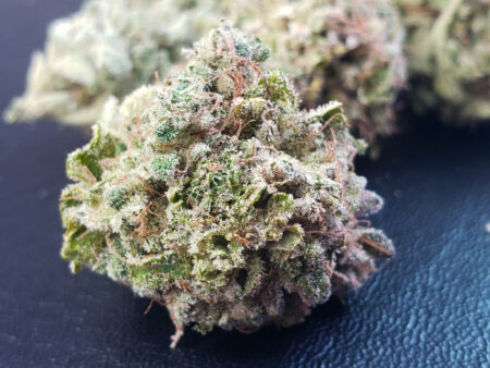 Follow our cannabis grow tips to grow lemon-scented buds full of d-Limonene!