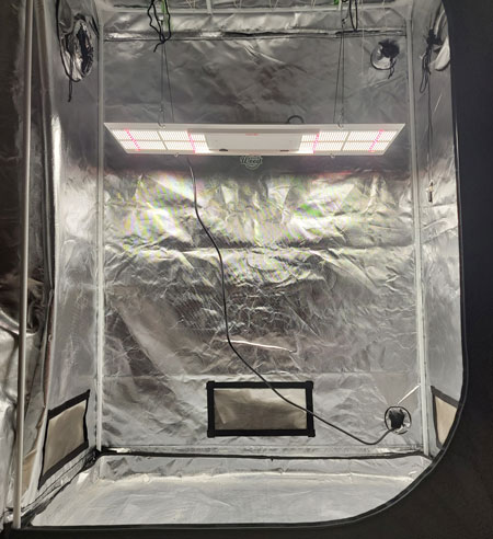 To prepare for marijuana seed germination, set up your grow space, turn everything on, and let it run for 24 hours just to make sure there aren't any problems (like overheating)