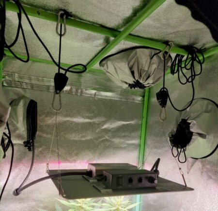 On the Spider Farmer SF1000, there is a dial to adjust the intensity of the light, and also a switch that lets you easily turn it on and off without having to unplug it.