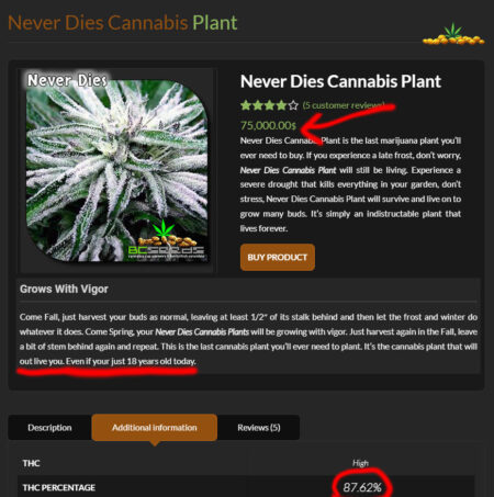 This plant "Never Dies" (not really)