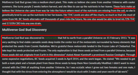 The wild origin story of "Multiverse God Bud"