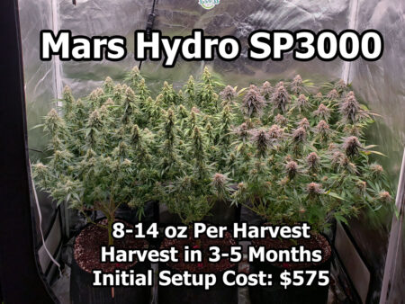 Check out this Mars Hydro SP-3000 LED grow light setup for growing cannabis. Get a supplies list and see pictures!