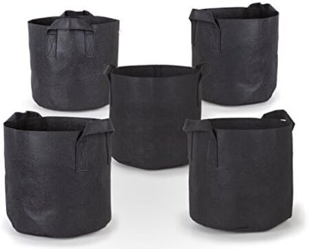  Example of a 5-pack of 2-gallon fabric pots (any brand works great).