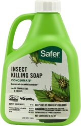 Safer Insect Killing Soap is excellent for many annoying cannabis pests