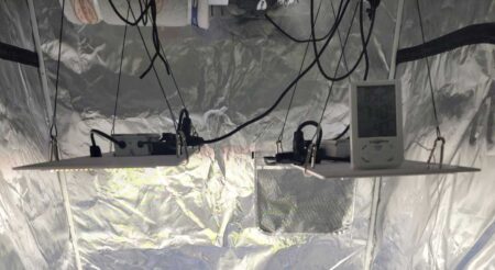 Hang up your LED grow lights above where your cannabis plants will be.