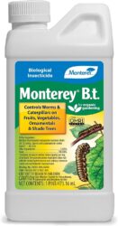 BT products work well on caterpillars, and are safe for most beneficial insects!