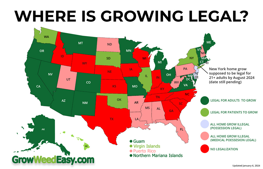 Where is it legal to grow cannabis in the US? Check out this Cannabis Cultivation Legalization Map. Last Updated January 6, 2024