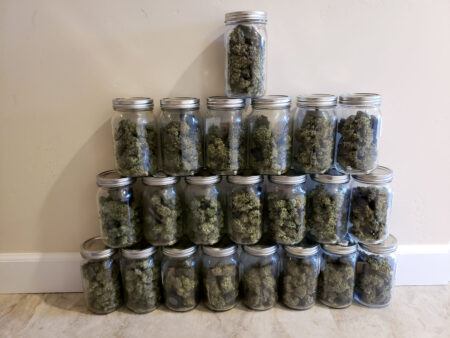 I still harvest more weed than our household can use, and that's after I make a bunch of weed into hash and capsules.