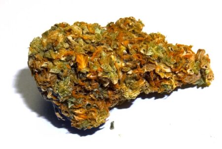 Dry crispy buds are not the end of the world, but not ideal cannabis bud quality either.