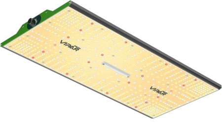Viparspectra P2000 LED grow light for growing weed.