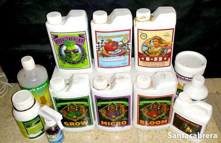 Advanced Nutrients full nutrient lineup regime, for growing autoflwoering cannabis plants