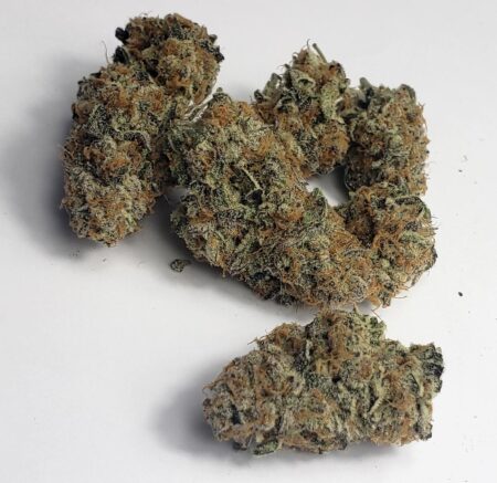 Purple Punch is a delicious cannabis strain